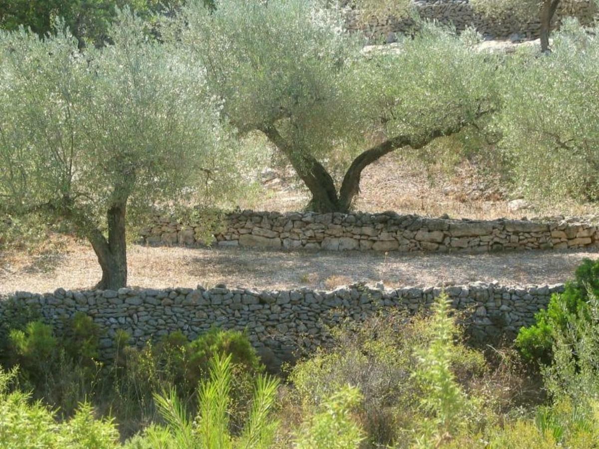 Vila Casa Almendra El Perelló Exteriér fotografie